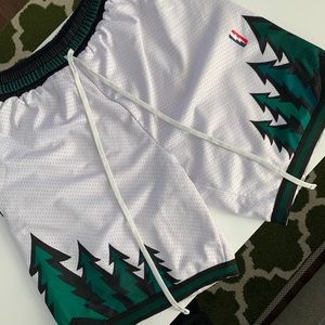 (XL) Collect & Select Swingman Basketball Shorts